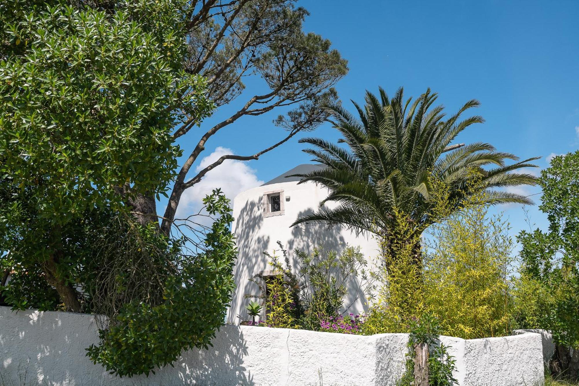 New! Windmill In The Midst Of Nature Villa Mafra Luaran gambar