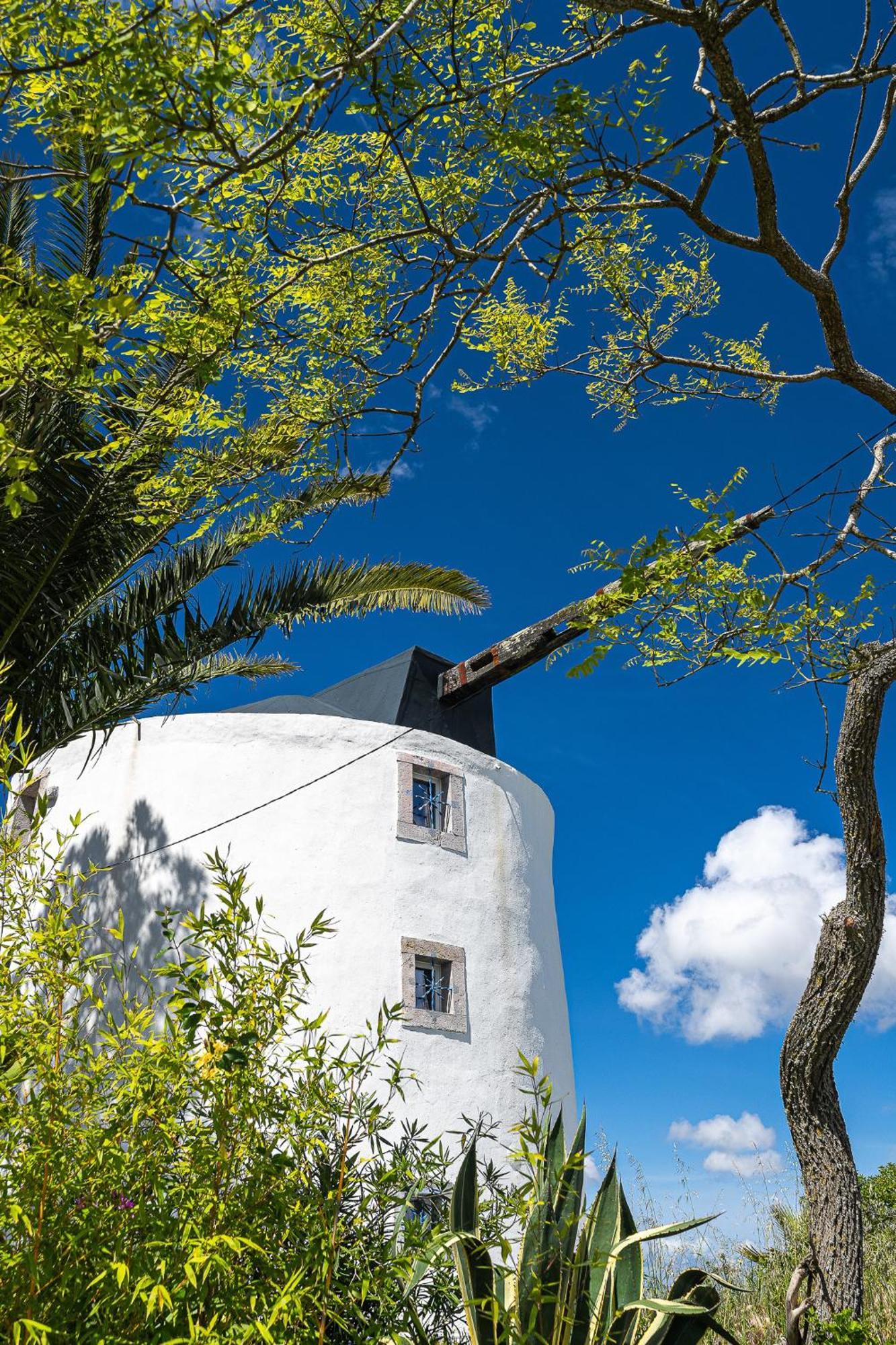 New! Windmill In The Midst Of Nature Villa Mafra Luaran gambar